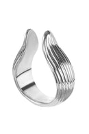 I am Aniele Ring